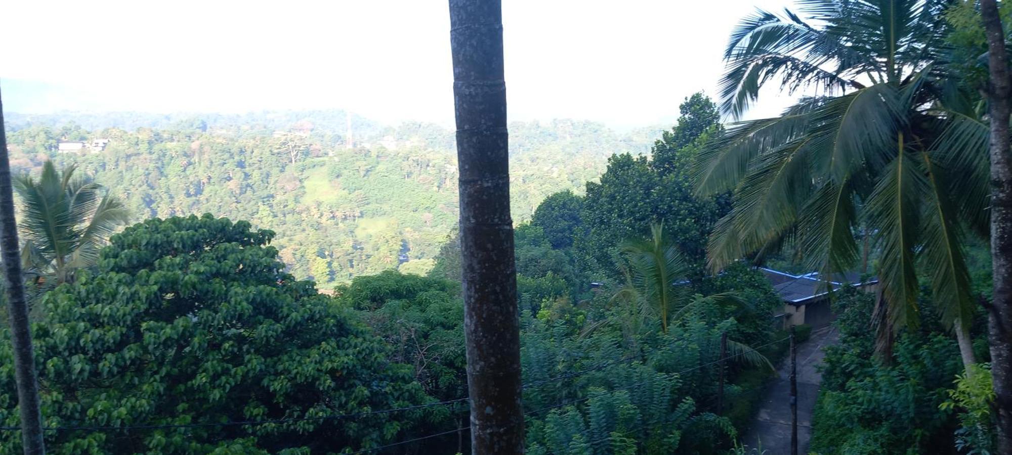 Mountain Bliss Villa Peradeniya Exterior foto